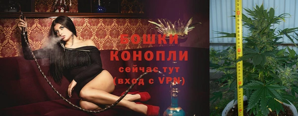 стаф Аркадак