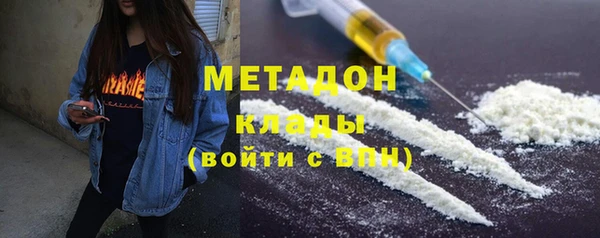 стаф Аркадак