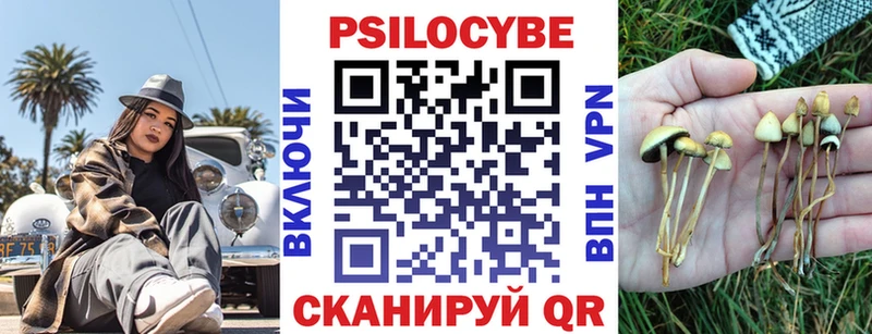 Псилоцибиновые грибы прущие грибы  mega рабочий сайт  Сатка  как найти закладки 